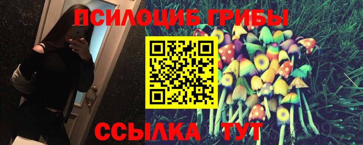 Мценск  Псилоцибиновые грибы MAGIC MUSHROOMS  Вход с VPN 