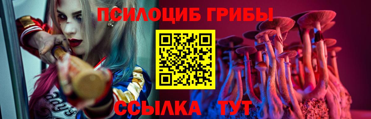 Псилоцибиновые грибы Psilocybine cubensis Мценск